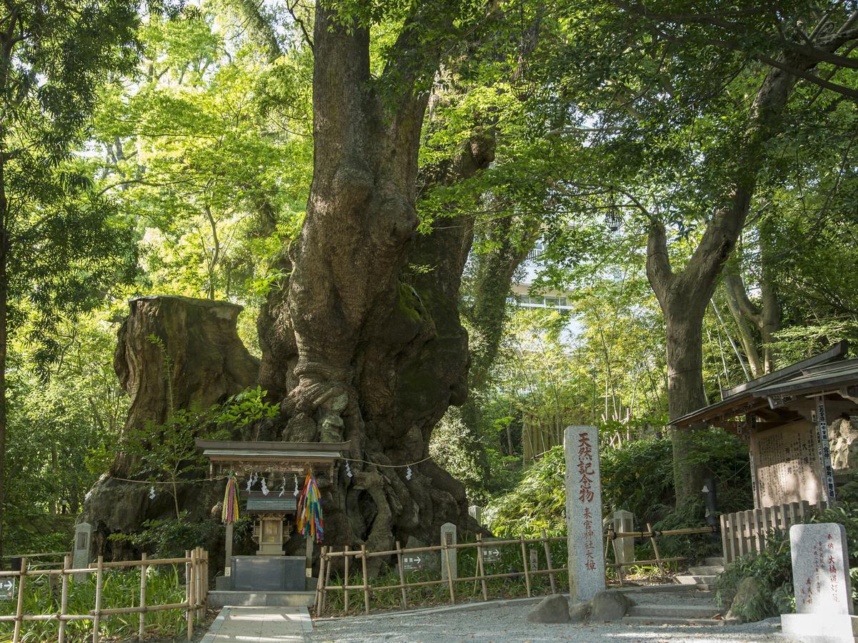 TKP Lectore Atami Momoyama Exterior foto